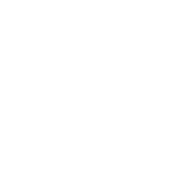 kaliLinux